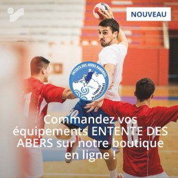 Publication Réseaux sociaux...