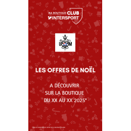 Story Réseaux Sociaux Noël